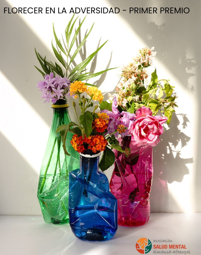 primer premio foto afaenpal pagina 7