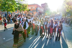 desfile-festero-almansa-2025-11