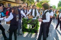desfile-festero-almansa-2025-111