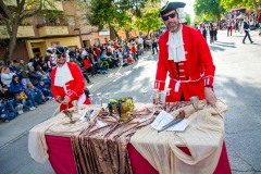 desfile-festero-almansa-2025-115