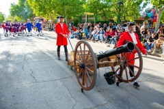 desfile-festero-almansa-2025-118