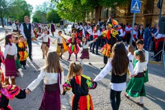 desfile-festero-almansa-2025-125