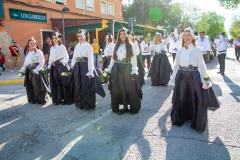 desfile-festero-almansa-2025-128