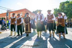 desfile-festero-almansa-2025-138