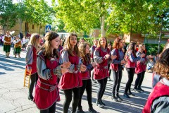desfile-festero-almansa-2025-141