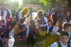 desfile-festero-almansa-2025-15