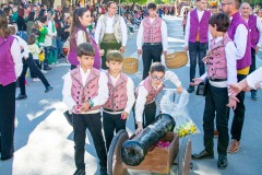 desfile-festero-almansa-2025-153