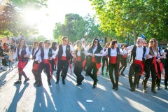 desfile-festero-almansa-2025-17