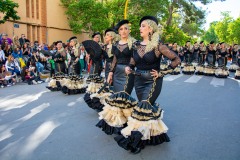 desfile-festero-almansa-2025-173