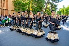 desfile-festero-almansa-2025-174