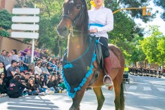 desfile-festero-almansa-2025-175