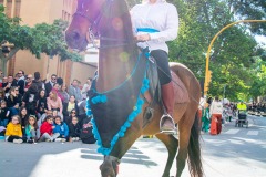 desfile-festero-almansa-2025-176