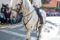 desfile-festero-almansa-2025-177