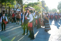 desfile-festero-almansa-2025-18