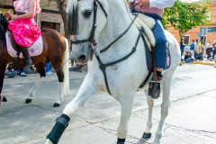 desfile-festero-almansa-2025-182