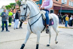 desfile-festero-almansa-2025-184