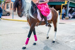 desfile-festero-almansa-2025-185