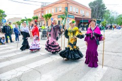 desfile-festero-almansa-2025-188