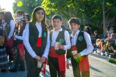desfile-festero-almansa-2025-19