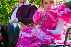 desfile-festero-almansa-2025-204
