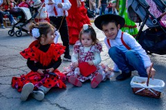 desfile-festero-almansa-2025-206