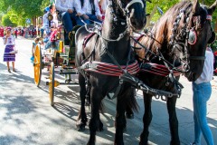 desfile-festero-almansa-2025-209
