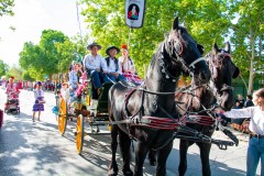 desfile-festero-almansa-2025-210