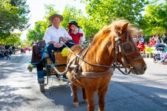 desfile-festero-almansa-2025-211