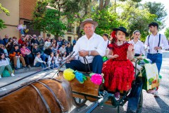desfile-festero-almansa-2025-212