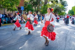 desfile-festero-almansa-2025-216