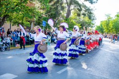 desfile-festero-almansa-2025-219