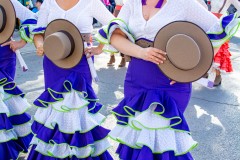 desfile-festero-almansa-2025-221