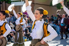 desfile-festero-almansa-2025-225