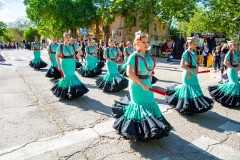 desfile-festero-almansa-2025-230