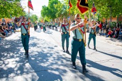 desfile-festero-almansa-2025-235