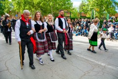 desfile-festero-almansa-2025-255
