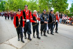 desfile-festero-almansa-2025-259