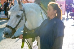 desfile-festero-almansa-2025-26