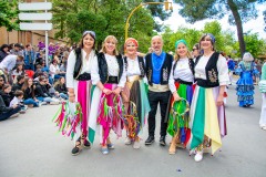 desfile-festero-almansa-2025-272