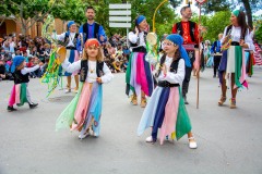 desfile-festero-almansa-2025-277
