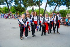 desfile-festero-almansa-2025-278