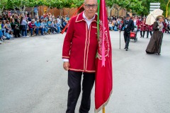 desfile-festero-almansa-2025-286