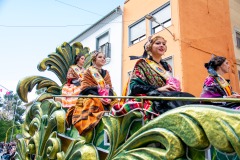 desfile-festero-almansa-2025-300