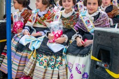 desfile-festero-almansa-2025-307