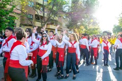 desfile-festero-almansa-2025-31