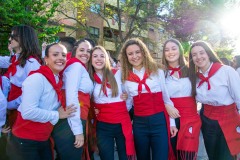 desfile-festero-almansa-2025-32