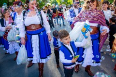 desfile-festero-almansa-2025-50
