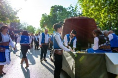 desfile-festero-almansa-2025-69