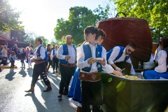 desfile-festero-almansa-2025-70