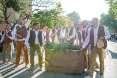 desfile-festero-almansa-2025-71